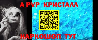 дмт Гай