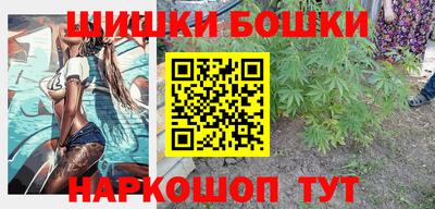 дмт Гай