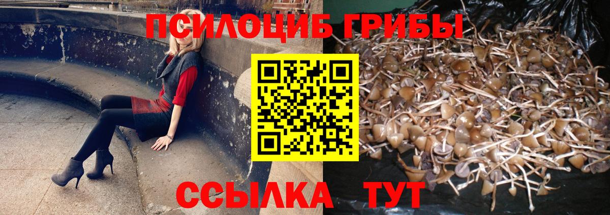 Псилоцибиновые грибы мухоморы  Вход с VPN  Самара 